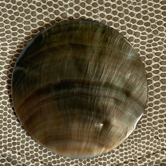 Marjorie Bloom Collection Bags Clutch Shoulder Bag Faux Lizard